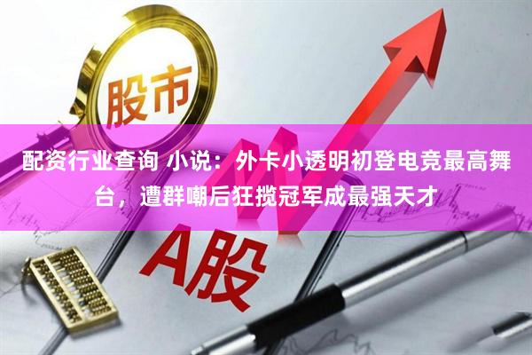 配资行业查询 小说：外卡小透明初登电竞最高舞台，遭群嘲后狂揽冠军成最强天才