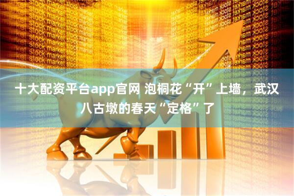 十大配资平台app官网 泡桐花“开”上墙，武汉八古墩的春天“定格”了