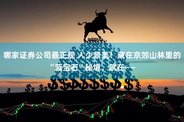 哪家证券公司最正规 人少景美！藏在京郊山林里的“蓝宝石”秘境，就在——