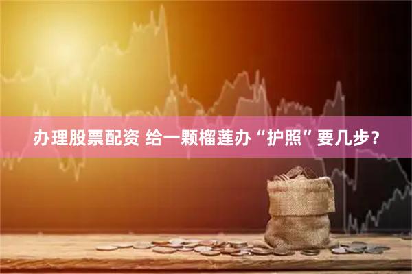 办理股票配资 给一颗榴莲办“护照”要几步？